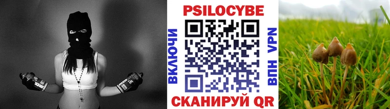 гидра онион  Малгобек  Галлюциногенные грибы Cubensis 